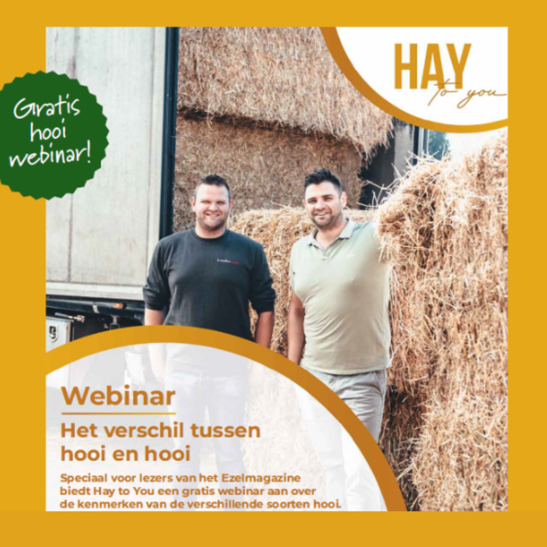 webinar hooi en hooi ezelmagazine